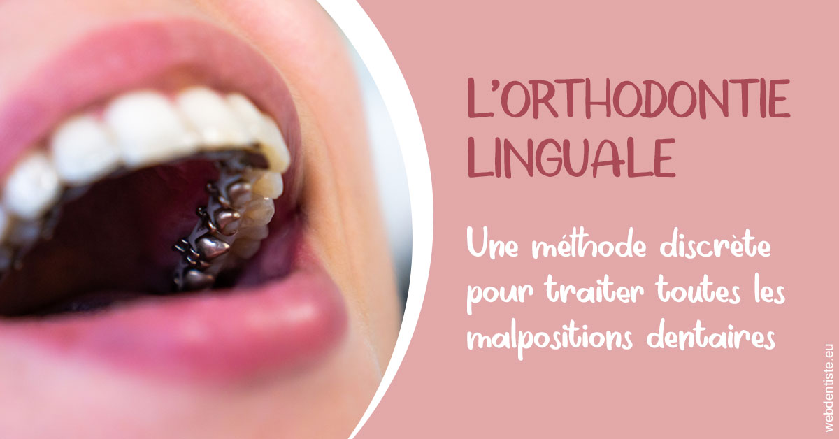 https://dr-sfedj-thierry.chirurgiens-dentistes.fr/L'orthodontie linguale 2