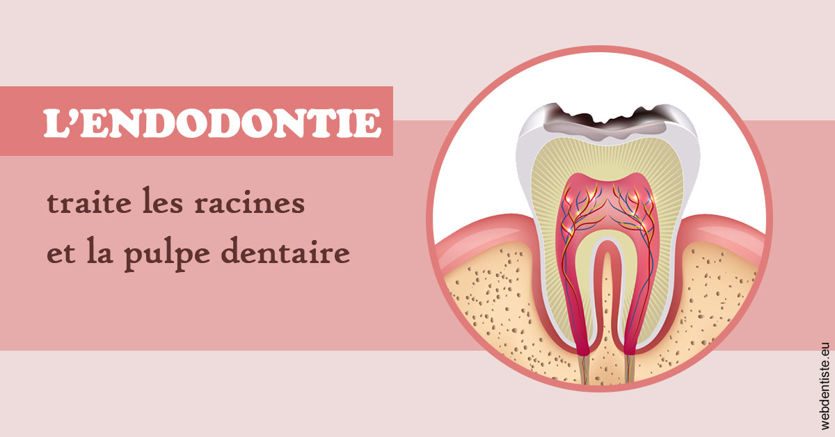 https://dr-sfedj-thierry.chirurgiens-dentistes.fr/L'endodontie 2