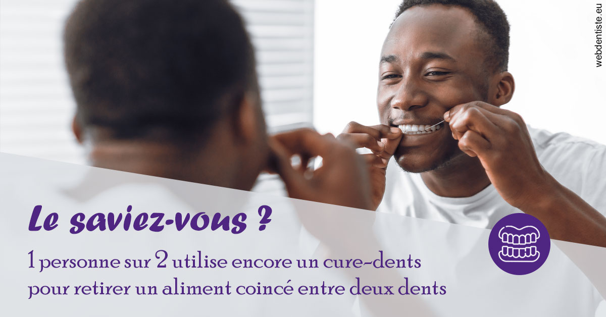 https://dr-sfedj-thierry.chirurgiens-dentistes.fr/Cure-dents 2