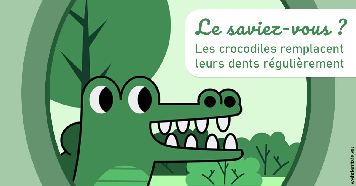 https://dr-sfedj-thierry.chirurgiens-dentistes.fr/Crocodiles 2