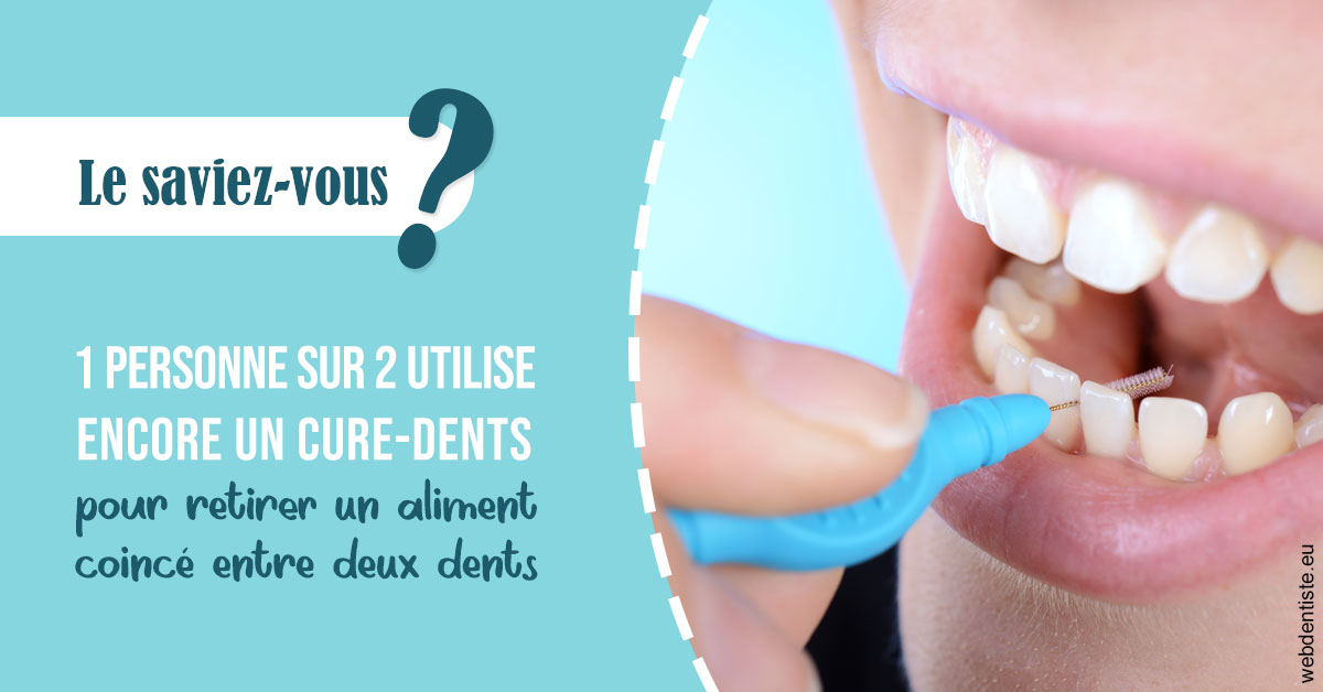 https://dr-sfedj-thierry.chirurgiens-dentistes.fr/Cure-dents 1